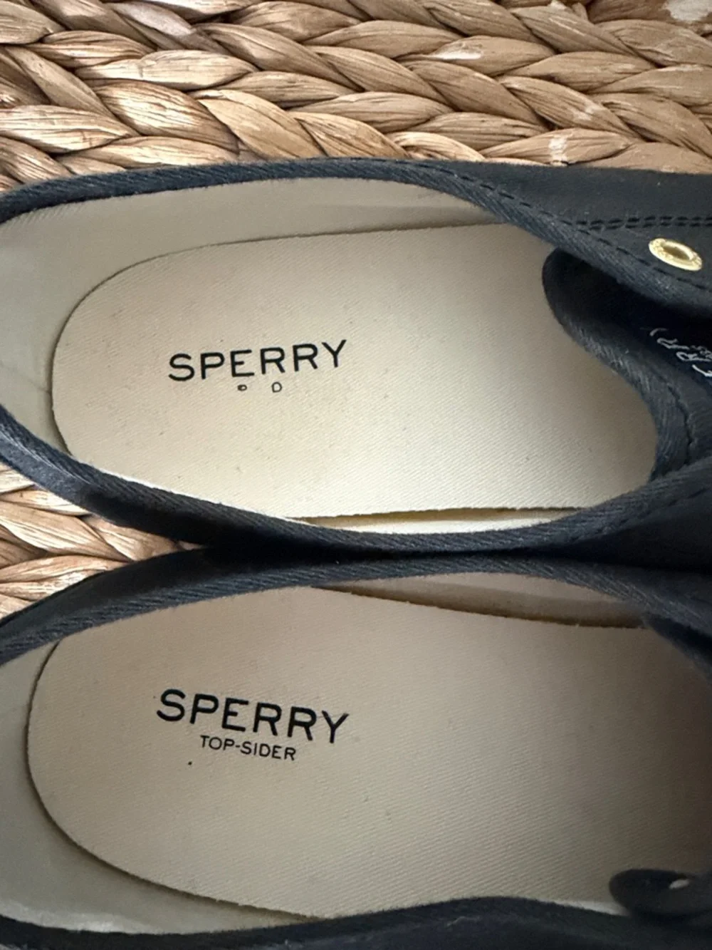 Sperry Black Canvas No tie Sneakers with Brown leather Laces - Picture 4 of 6